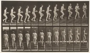 Eadweard Muybridge's Ascending Stairs Print, 1872-85