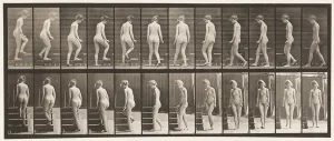 Fine Art Finder Print: Turning and Ascending Stairs, 1872-85