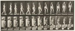 Fine Art Finder Print: Turning and Ascending Stairs, 1872-85