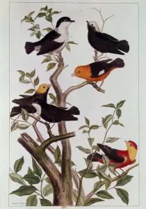 18th Century Parisian Lithograph Print