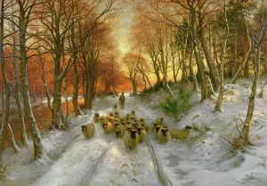 Sheep Prints: Print of a Scottish landscape with evening light