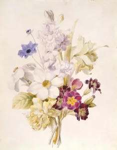 Narcissus and other Flowers Print, 1840 (w/c on paper)