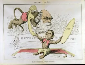Caricature of Darwin and Littre Print (Colour Litho)