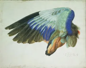Albrecht Durer Prints: Fine Art Print of Durer's Blue Roller Wing (1512-1524)