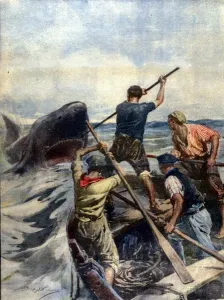 Unknown Artist Prints: Fine Art Finder Print: A Tiger Shark Capture, 1908