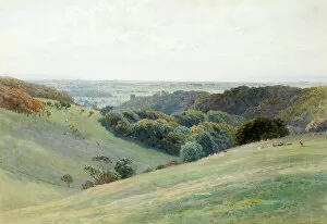 Arundel Collection: Arundel Castle from the Deer Park, Sussex, 1884 (w / c on paper)