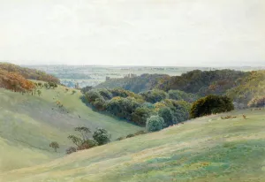 Arundel Castle from the Deer Park, Sussex, 1884 (w/c on paper) Arundel Castle from the Deer Park, Sussex, 1884 (w/c on paper)