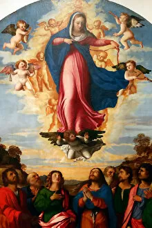 Assumption Of Mary Gallery: The Assumption of the Virgin, by Palma il Vecchio Serina 1513 (painting)