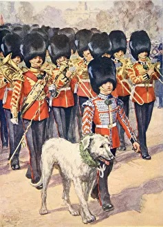 Guards Division Gallery: The Band and Mascot of the Irish Guards wearing the Shamrock on St. Patricks Day (colour litho)