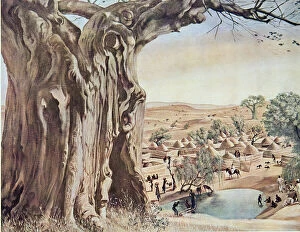 Alexander Yakovlev Gallery: Un Baobab (Soudan), from Dessins et Peintures d Afrique