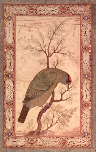 A Barbet (Himalayan blue-throated bird) Jahangir Period, Mughal, 1615 A Barbet (Himalayan blue-throated bird) Jahangir Period, Mughal, 1615