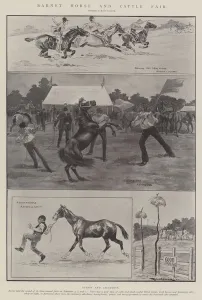 Incidents Gallery: Barnet Horse and Cattle Fair (litho)