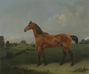 A Bay Horse in a Field (oil on canvas) A Bay Horse in a Field (oil on canvas)