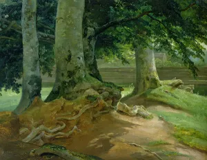 Beech Trees in Frederiksdal near Copenhagen, 1828 (oil on paper mounted on card) Beech Trees in Frederiksdal near Copenhagen, 1828 (oil on paper mounted on card)