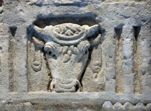 Beef or bull head decorated with a garland. (Roman Sculpture) Beef or bull head decorated with a garland. (Roman Sculpture)