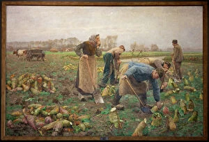 Every Day Life Gallery: Beet Harvest, 1890 (painting)