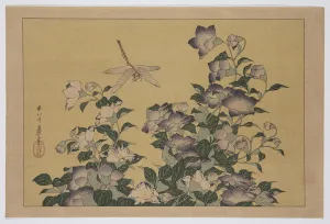 Bellflower and Dragonfly (colour woodblock print) Bellflower and Dragonfly (colour woodblock print)