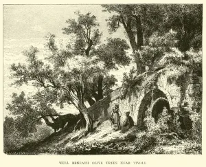 Well beneath Olive trees near Tivoli (engraving) Well beneath Olive trees near Tivoli (engraving)