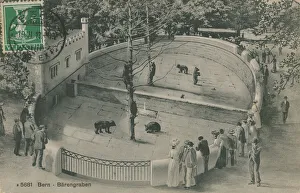 Photographer German Gallery: Bern Zoo, Bear Garden. Postcard sent on 19 June 1913