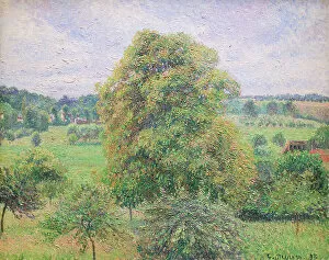 Art Style Gallery: Big walnut tree at Eragny, 1893 (oil on canvas)