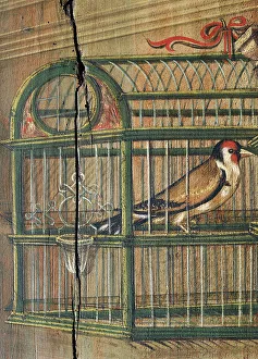 Bird in a cage, detail from a painting by Defendente Ferrari (1480 or 1485-1540) Bird in a cage, detail from a painting by Defendente Ferrari (1480 or 1485-1540)