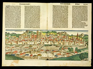Birds Eye View of Ratisbon, from the Nuremberg Chronicle by Hartmann Schedel