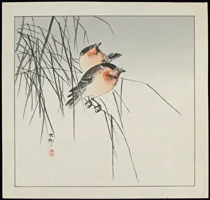 Two Birds on Reeds, pre-1912 (colour woodblock print) Two Birds on Reeds, pre-1912 (colour woodblock print)