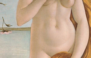 The Birth of Venus (detail), c.1485 (tempera on canvas)
