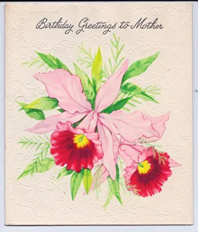 A Birthday greetings to Mother Card with lilies and foliage A Birthday greetings to Mother Card with lilies and foliage