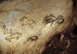 Bison and Horses. Upper Paleolithic (Magdalenian) (rock painting) Bison and Horses. Upper Paleolithic (Magdalenian) (rock painting)