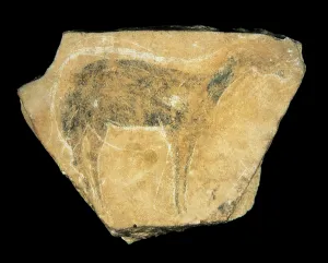 Rock Painting Gallery: Black doe, Parpallo Cave, Spain, Upper Paleolithic (painting)