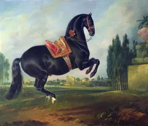A black horse performing the Courbette (oil on canvas) (for detail see 264709) A black horse performing the Courbette (oil on canvas) (for detail see 264709)