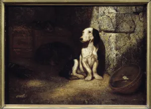 Black and white bass dog at the kennel. On the side a bowl filled with water Black and white bass dog at the kennel. On the side a bowl filled with water