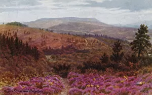 Blackdown Gallery: Blackdown from Hindhead (colour litho)