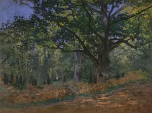 The Bodmer Oak, Fontainebleau Forest, 1865 (oil on canvas) The Bodmer Oak, Fontainebleau Forest, 1865 (oil on canvas)