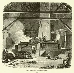 The boiling department (engraving)
