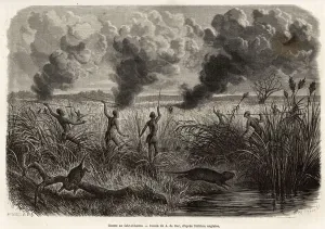 The bongo tribe hunt the rat from the reeds (for naturalists: aulacode) The bongo tribe hunt the rat from the reeds (for naturalists: aulacode)