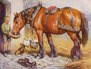 Boy feeding a horse in a farmyard (colour litho)