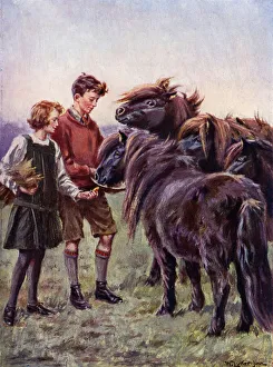 Boy and girl feeding Shetland ponies (colour litho) Boy and girl feeding Shetland ponies (colour litho)