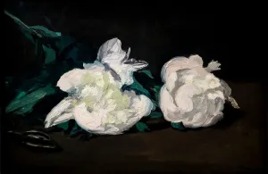 Branch of white peonies and secateurs, 1864 (Oil on Canvas) Branch of white peonies and secateurs, 1864 (Oil on Canvas)