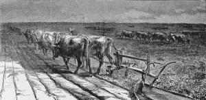 Breaking the Prairie, illustration from Harpers Weekly, 1871 Breaking the Prairie, illustration from Harpers Weekly, 1871