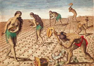 Brevis Narratio , Culture and Sowing Seeds, 1563 (colour engraving) Brevis Narratio , Culture and Sowing Seeds, 1563 (colour engraving)