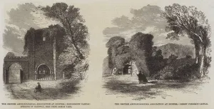 The British Archaeological Association at Exeter (engraving) The British Archaeological Association at Exeter (engraving)