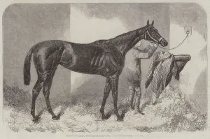 Brown Duchess, Winner of the Oaks (engraving) Brown Duchess, Winner of the Oaks (engraving)