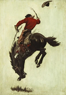 Caucasian Gallery: Bucking Bronco, 1903 (oil on canvas laid down on masonite)