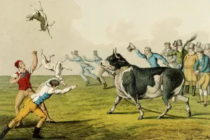 Bull Baiting, pub. by Thomas McLean, 1820, (print) Bull Baiting, pub. by Thomas McLean, 1820, (print)