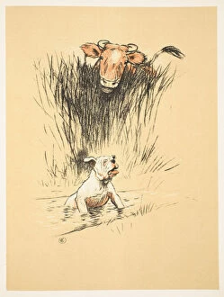 Bull and dog in field (colour litho)