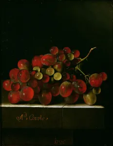 Bunch of Grapes, 1705 (oil on paper on panel) Bunch of Grapes, 1705 (oil on paper on panel)