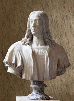 Bust of Raffaello Sanzio, dit Raphael (marble) Bust of Raffaello Sanzio, dit Raphael (marble)