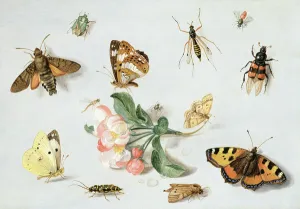 Butterflies, moths and other insects with a sprig of apple blossom (oil on copper) Butterflies, moths and other insects with a sprig of apple blossom (oil on copper)